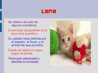 lana

Se obtiene del pelo de
  algunos mamiferos.
El principal componente de la
   lana es la queratina.
Su calidad viene definida por
  el espesor, la finura ,y el
  animal del que proviene.
Puede ser blanca o negra,
  según el animal.
Tiene gran elasticidad y
  absorbe la humedad.
 
