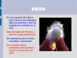 seda
Es una especie de baba o
  jugo viscoso que segregan
  algunos gusanos y que se
  coagula en contacto co el
  aire.
Está formada por fibroína y
  sericina (capa protectora).
Se caracteriza por su brillo,
  suavidad, y tenacidad.
Se le puede aplicar
  colorantes con facilidad y
  es poco conductora del
  calor.
 
