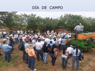 DÍA DE CAMPO
 