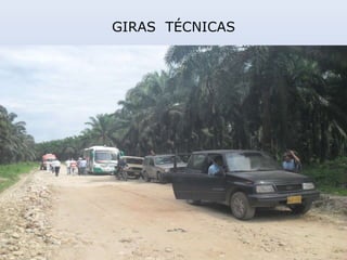 GIRAS TÉCNICAS
 
