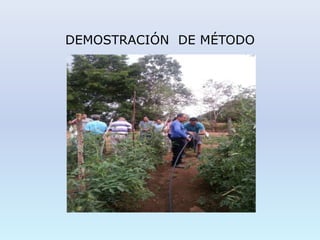 DEMOSTRACIÓN DE MÉTODO
 