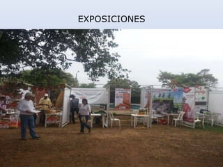 EXPOSICIONES
 