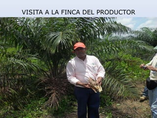 VISITA A LA FINCA DEL PRODUCTOR
 