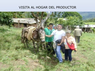 VISITA AL HOGAR DEL PRODUCTOR
 