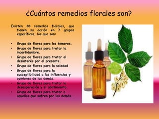 ¿Cuántos remedios florales son?
Existen 38 remedios florales, que
    tienen su acción en 7 grupos
    específicos, los que son:

•   Grupo de flores para los temores.
•   Grupo de flores para tratar la
    incertidumbre.
•   Grupo de flores para tratar el
    desinterés por el presente.
•   Grupo de flores para la soledad
•   Grupo de flores para la
    susceptibilidad a las influencias y
    opiniones de los demás.
•   Grupo de flores para tratar la
    desesperación y el abatimiento.
•   Grupo de flores para tratar a
    aquellos que sufren por los demás.
 