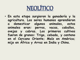 NEOLÍTICO
• En esta etapa surgieron la ganadería y la
agricultura. Los seres humanos aprendieron
a domesticar algunos animales, estos
animales eran: perros, vacas, caballos,
ovejas y cabras. Los primeros cultivos
fueron de granos: Trigo, cebada, y centeno
en el Cercano Oriente; Maíz en América;
mijo en África y Arroz en India y China.
 