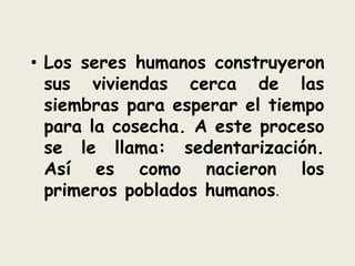 • Los seres humanos construyeron
sus viviendas cerca de las
siembras para esperar el tiempo
para la cosecha. A este proceso
se le llama: sedentarización.
Así es como nacieron los
primeros poblados humanos.
 