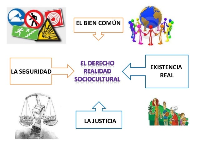 Presentación sociologia fenomeno social