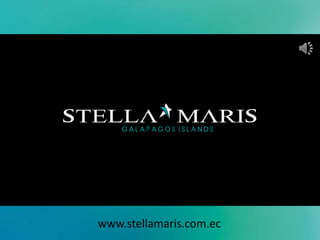 www.stellamaris.com.ec
 