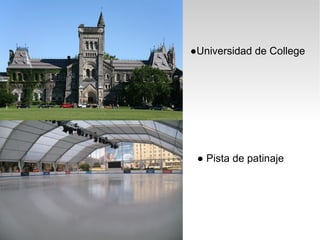 ●Universidad de College
● Pista de patinaje
 