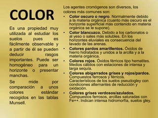 POROSIDADRepresenta el porcentaje total de huecos que hay entre el material sólido de un suelo.Es un parámetro importante porque de él depende el comportamiento del suelo frente a las fases líquida y gaseosa, y por tanto vital para la actividad biológica que pueda soportar.Se estudia con la técnica micromorfológica y se cuantifica de una manera indirecta en las medidas de pF y de densidad aparente. 