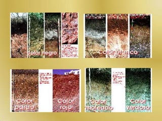 DINAMICA DEL AGUAEl agua del suelo esta sometida a dos fuerzas de acción opuestas:FUERZAS DE SUCCION: tiende a retener el agua en los poros. (si predomina el agua queda retenida)FUERZA DE GRAVEDAD:tiende a desplazarla a capas cada vez mas profundas. (si es intensa el agua se mueve hacia abajo.El agua también asciende debido a la capilaridad (climas áridos), y por diferencia de humedad (los horizontes mas profundos permaneces mas húmedos y protegidos de la evaporación y absorción de las plantas, dada su profundidad.El agua se también mueve en dirección lateral, movimiento generalizado en todos los relieves colinados y montañosos.