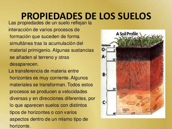 Presentación suelos t2