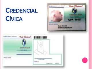 CREDENCIAL
CÍVICA
 