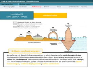 TEMA1. El espacio geográfico español. El relieve y las costas
Espacio geográfico           El relieve español
    El espacio geográfico.   Características      Morfoestructuras    Evolución      Litología   Unidades de relieve   Las costas




            LAS UNIDADES
                                                                     Conceptos básicos
         MORFOESTRUCTURALES




                   Unidades morfoestructurales
          Son las formas y la disposición interna que adopta el relieve. Resultan de los movimientos tectónicos
          (levantamientos, hundimientos y desplazamientos de la corteza terrestre) y de la posterior acción de la
          erosión y la sedimentación. Ambos procesos están determinados por la naturaleza de las rocas (litología).
          En la península encontramos las grandes unidades morfoestructurales del relieve continental: zócalos,
          macizos antiguos, cordilleras de plegamiento y cuencas sedimentarias
 