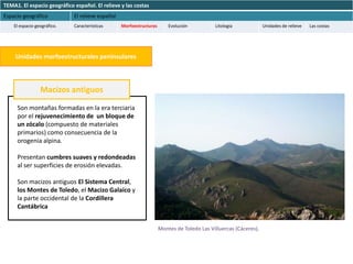 TEMA1. El espacio geográfico español. El relieve y las costas
Espacio geográfico           El relieve español
    El espacio geográfico.   Características      Morfoestructuras       Evolución          Litología             Unidades de relieve   Las costas




    Unidades morfoestructurales peninsulares



                 Macizos antiguos

     Son montañas formadas en la era terciaria
     por el rejuvenecimiento de un bloque de
     un zócalo (compuesto de materiales
     primarios) como consecuencia de la
     orogenia alpina.

     Presentan cumbres suaves y redondeadas
     al ser superficies de erosión elevadas.

     Son macizos antiguos El Sistema Central,
     los Montes de Toledo, el Macizo Galaico y
     la parte occidental de la Cordillera
     Cantábrica


                                                                     Montes de Toledo Las Villuercas (Cáceres).
 