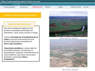 TEMA1. El espacio geográfico español. El relieve y las costas
Espacio geográfico           El relieve español
    El espacio geográfico.   Características      Morfoestructuras   Evolución   Litología            Unidades de relieve   Las costas




    Unidades morfoestructurales peninsulares



            Cuencas sedimentarias
    Son zonas hundidas formadas en la era
    terciaria y colmatadas (rellenadas) con
    sedimentos : caliza, arcilla, arenisca o margas

    -Cuencas formadas por el hundimiento de un
                                                                                    Cuenca del Duero. (Burgos)
    zócalo a causa de las presiones de la era
    terciaria: Depresiones meseteñas del
    Duero, Tajo y Guadiana.

    -Depresiones prealpinas: a ambos lados de
    las cordilleras alpinas. Formadas por la
    descompresión posterior al levantamiento de
    estas cordilleras, o por fosas marinas poco
    profundas y colmatadas (Ebro y
    Guadalquivir)




                                                                                         Valle del Ebro. (Zaragoza)
 