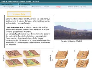 TEMA1. El espacio geográfico español. El relieve y las costas
Espacio geográfico              El relieve español
     El espacio geográfico.     Características      Morfoestructuras   Evolución              Litología            Unidades de relieve   Las costas




                       La erosión fluvial

             Con el asentamiento de la red fluvial en la era cuaternaria , la
             acción erosiva de los ríos dio lugar a la formación de cuencas
             sedimentarias y terrazas fluviales.

             Cuencas sedimentarias: se forman a medida que el río va
             erosionando la corteza y depositando materiales de aluvión
             sobre los que perfila sus meandros.
             Las terrazas fluviales: son el fruto de las alternacias glaciares
             del cuaternario. Durante las glaciaciones los ríos pierden
             fuerza erosiva y depositan aluviones. En las épocas
             postglaciares, los ríos aumentan su caudal y su fuerza erosiva,                               Terrazas del Jarama (Madrid)
             ahondando su cauce y dejando suspendidos los aluviones en
             sus márgenes.
   Cuencas




                                                                                    Terrazas
 