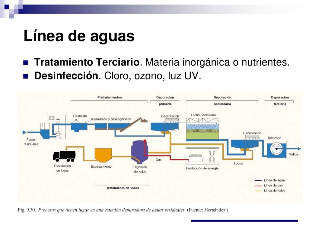Esquema De La Contaminacion Del Agua Fotos Guia 2021 Images