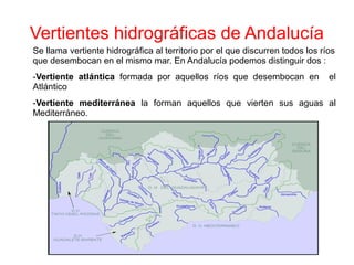 Vertientes hidrográficas de Andalucía
Se llama vertiente hidrográfica al territorio por el que discurren todos los ríos
que desembocan en el mismo mar. En Andalucía podemos distinguir dos :
-Vertiente atlántica formada por aquellos ríos que desembocan en el
Atlántico
-Vertiente mediterránea la forman aquellos que vierten sus aguas al
Mediterráneo.
 