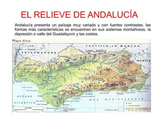 EL RELIEVE DE ANDALUCÍA
Andalucía presenta un paísaje muy variado y con fuertes contrastes, las
formas más características se encuentran en sus sistemas montañosos, la
depresión o valle del Guadalquivir y las costas.
 