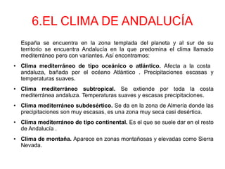 6.EL CLIMA DE ANDALUCÍA
España se encuentra en la zona templada del planeta y al sur de su
territorio se encuentra Andalucía en la que predomina el clima llamado
mediterráneo pero con variantes. Así encontramos:
● Clima mediterráneo de tipo oceánico o atlántico. Afecta a la costa
andaluza, bañada por el océano Atlántico . Precipitaciones escasas y
temperaturas suaves.
● Clima mediterráneo subtropical. Se extiende por toda la costa
mediterránea andaluza. Temperaturas suaves y escasas precipitaciones.
● Clima mediterráneo subdesértico. Se da en la zona de Almería donde las
precipitaciones son muy escasas, es una zona muy seca casi desértica.
● Clima mediterráneo de tipo continental. Es el que se suele dar en el resto
de Andalucía .
● Clima de montaña. Aparece en zonas montañosas y elevadas como Sierra
Nevada.
 