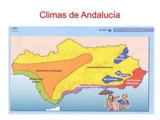 Climas de Andalucía
 