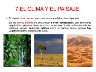 7.EL CLIMA Y EL PAISAJE
● El tipo de clima que se da en una zona va a determinar el paisaje.
En las zonas cálidas se encuentran selvas ecuatoriales con abundante
vegetación, extensas llanuras como la sabana donde subsisten árboles
aislados, incluso desiertos cálidos como el Sáhara donde apenas hay
vegetación por la ausencia de lluvia.
 