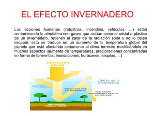 EL EFECTO INVERNADERO
Las acciones humanas (industrias, incendios, vehículos, ...) están
contaminando la atmósfera con gases que actúan como el cristal o plástico
de un invernadero, retienen el calor de la radiación solar y no lo dejan
escapar, esto se traduce en un aumento de la temperatura global del
planeta que está afectando seriamente al clima terrestre modificándolo en
muchos aspectos (aumento de temperaturas, precipitaciones concentradas
en forma de tormentas, inundaciones, huracanes, sequías, ...)
 