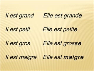 Il est grand Elle est grande
Il est petit Elle est petite
Il est gros Elle est grosse
Il est maigre Elle est maigre
 