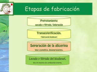 Etapas de fabricación
 
