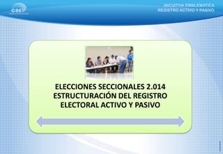 INICIATIVA EMBLEMATICA
REGISTRO ACTIVO Y PASIVO

ELECCIONES SECCIONALES 2.014
ESTRUCTURACIÓN DEL REGISTRO
ELECTORAL ACTIVO Y PASIVO

 