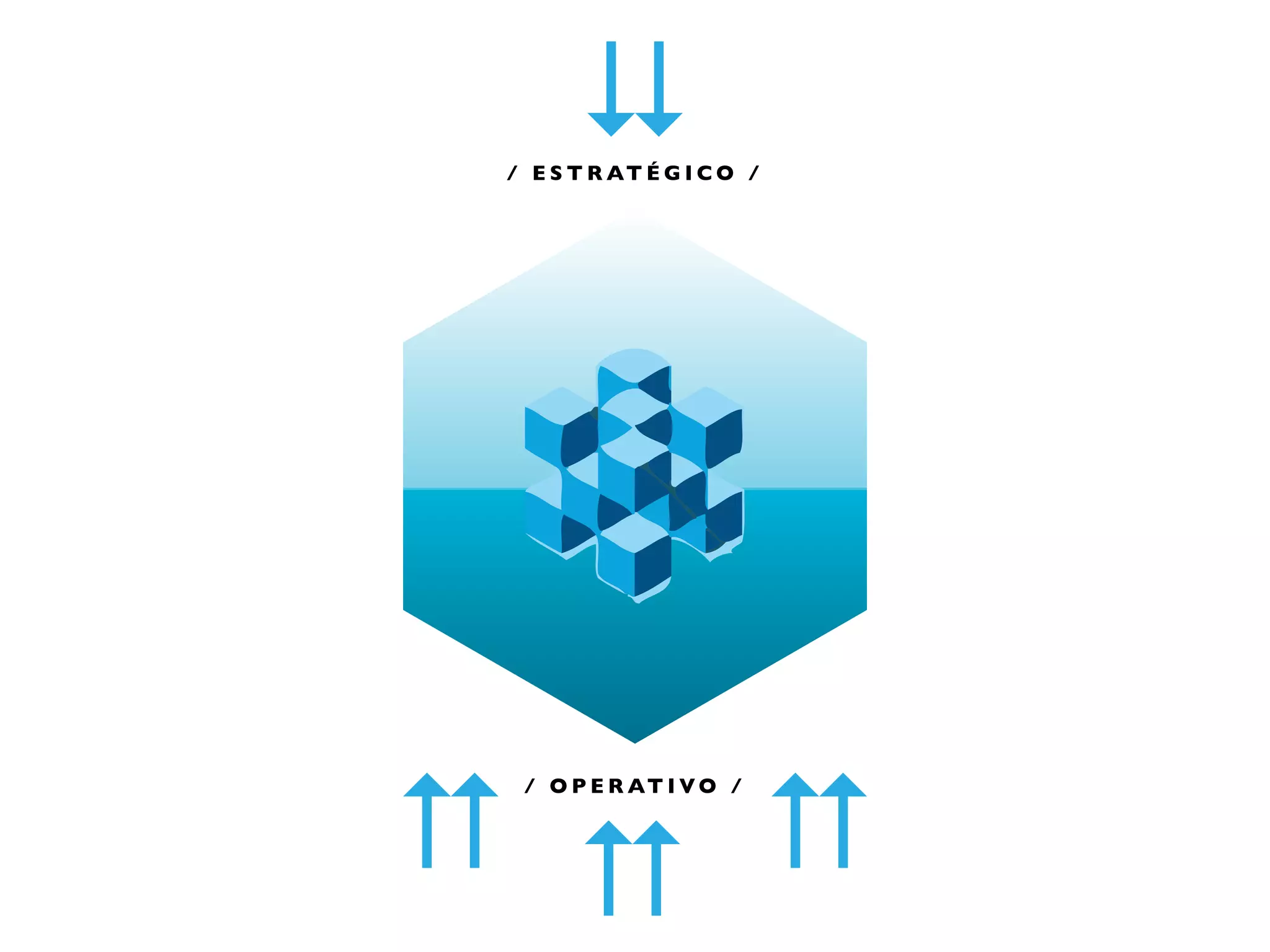 / E S T R AT É G I C O /




 / O P E R AT I V O /
 