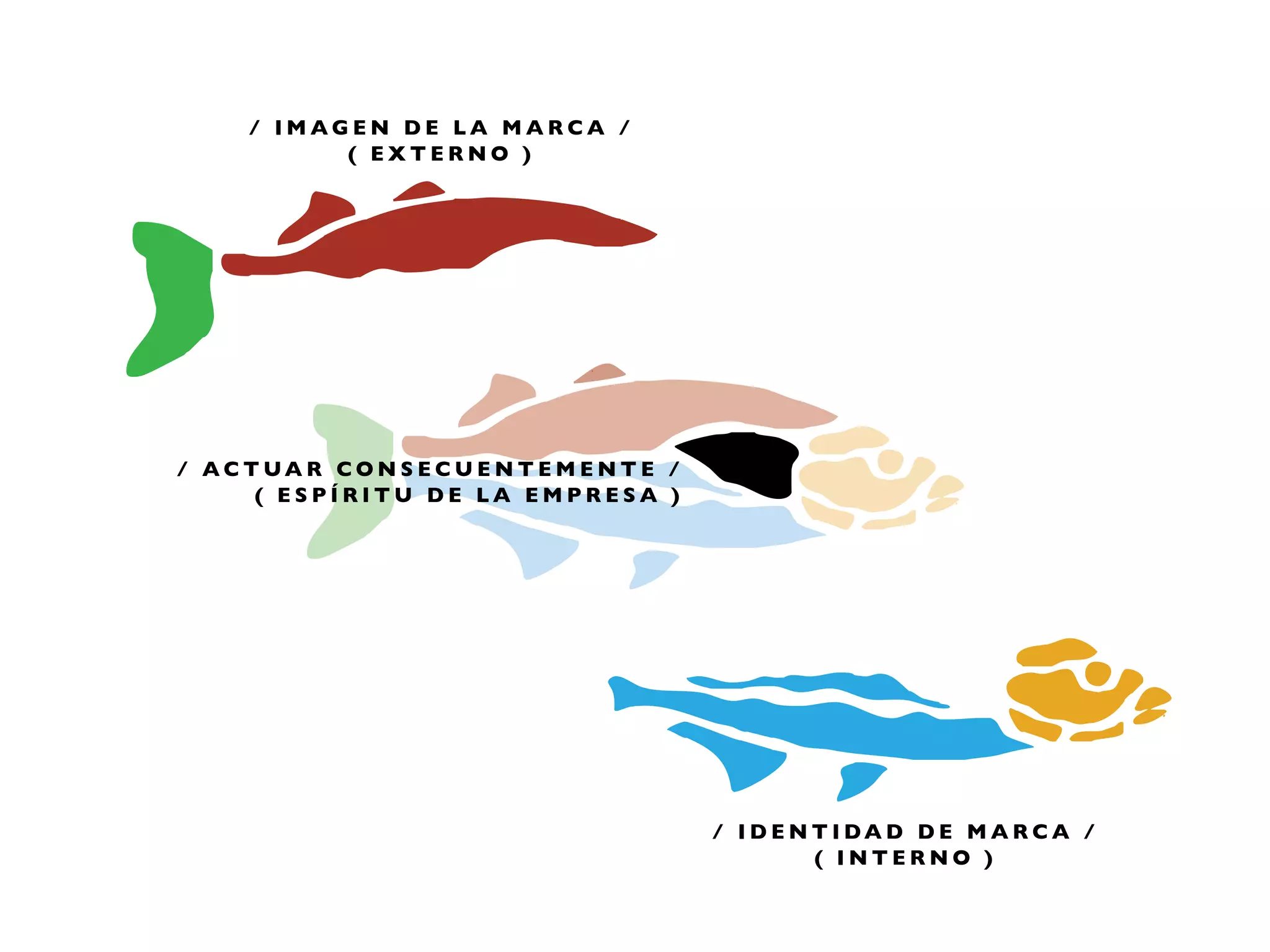 / IMAGEN DE LA MARCA /
          ( EXTERNO )




/ ACTUAR CONSECUENTEMENTE /
     ( ESPÍRITU DE LA EMPRESA )




                                  / IDENTIDAD DE MARCA /
                                        ( INTERNO )
 