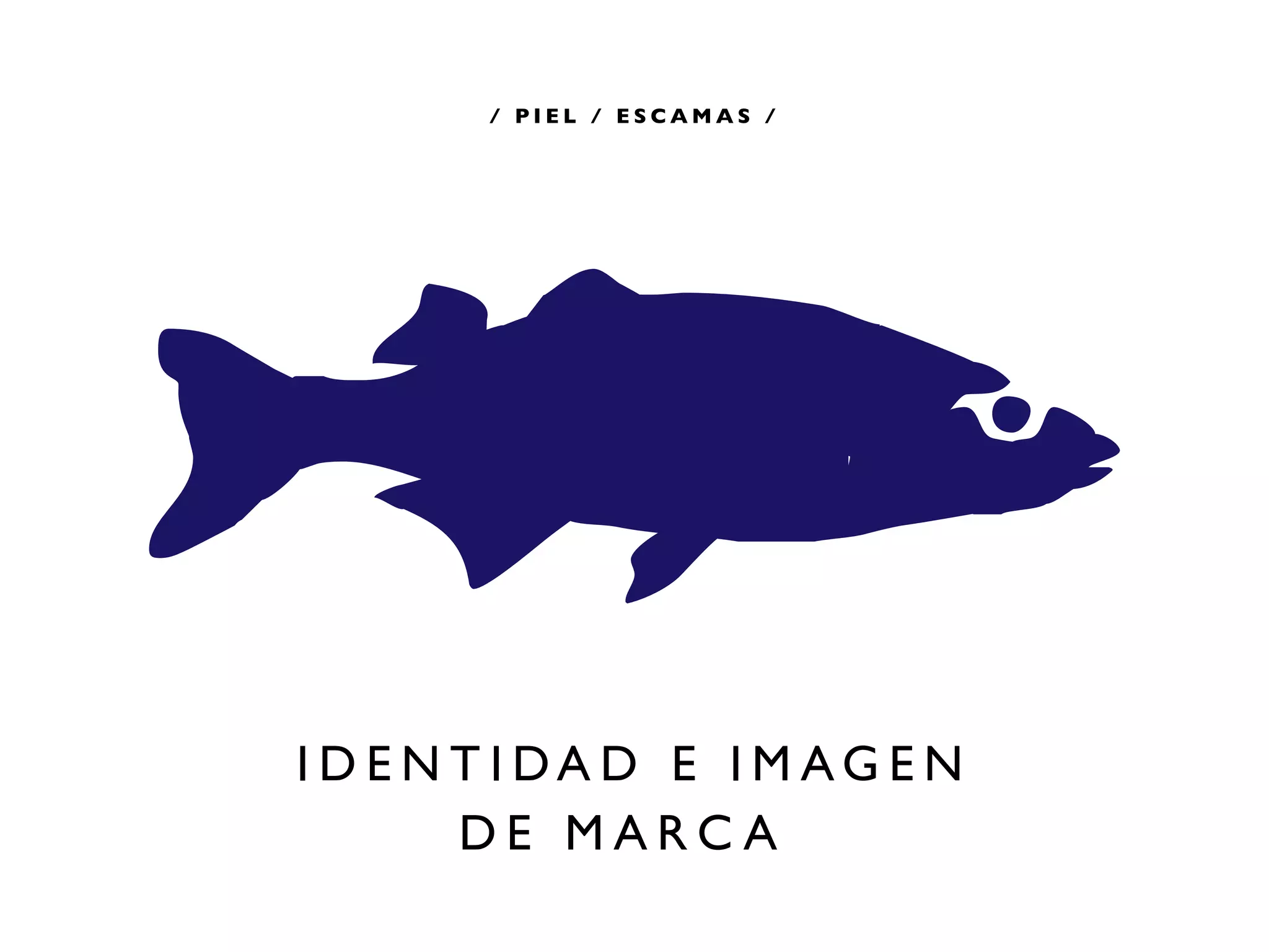 / PIEL / ESCAMAS /




I D E N T I DA D E I M AG E N
        DE MARCA
 