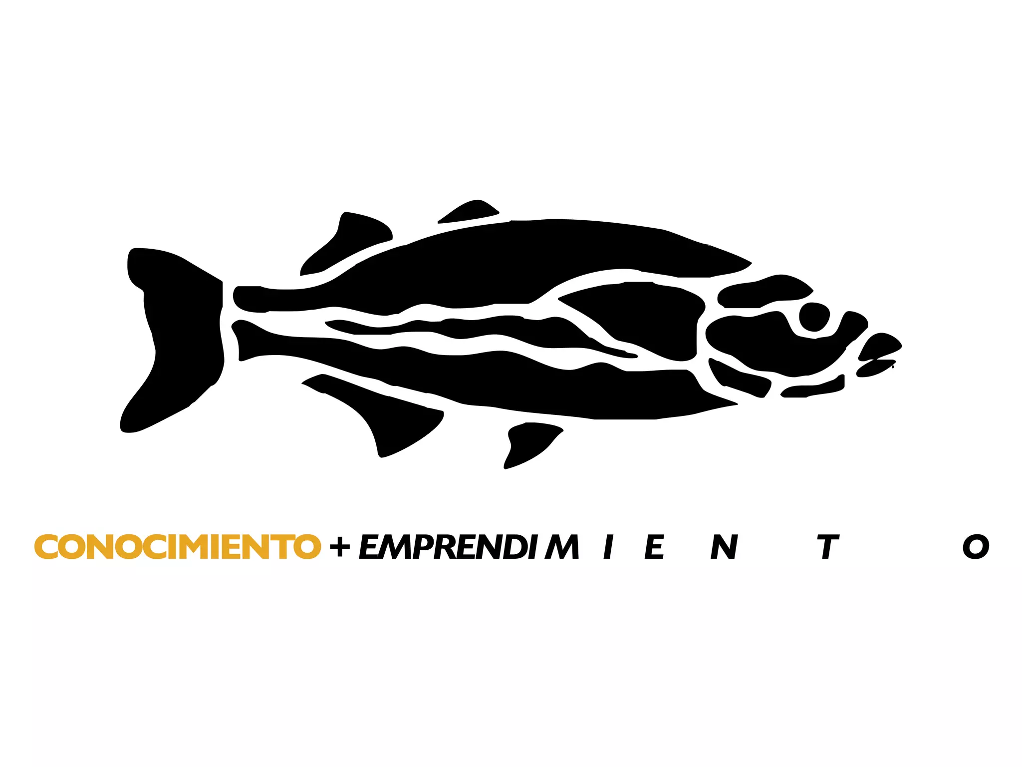 CONOCIMIENTO + EMPRENDI M I E   N   T   O
 