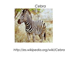 Cebra




http://es.wikipedia.org/wiki/Cebra
 