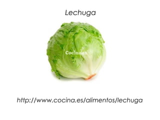 Lechuga




http://www.cocina.es/alimentos/lechuga
 
