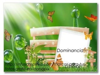 Dominancia


http://infusionsoftva.com/marcos-para-tus-
fotos-gratis-en-loonapix/ 
                               Lateral
 