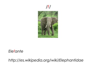 /f/




Elefante

http://es.wikipedia.org/wiki/Elephantidae
 