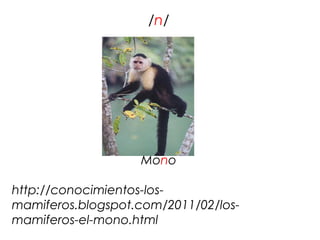 /n/




                   Mono

http://conocimientos-los-
mamiferos.blogspot.com/2011/02/los-
mamiferos-el-mono.html
 