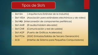 Tipos de Slots 
 Slot ISA ( Arquitectura Estándar de la Industria) 
 Slot VESA (Asociación para estándares electrónicos y de video) 
 Slot PCI (Interconexión de componentes periféricos) 
 Slot AMR (El audio/módem elevador) 
 Slot CNR (Comunicación y red de subida) 
 Slot AGP (Puerto de Gráficos Acelerados) 
 Slot PCIe (3GIO Entradas/Salidas de Tercera Generación) 
 SCSI (Interfaz de Sistema para Pequeñas Computadoras) 
 
