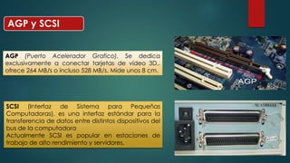 AGP y SCSI 
AGP (Puerto Acelerador Grafico). Se dedica 
exclusivamente a conectar tarjetas de vídeo 3D,. 
ofrece 264 MB/s o incluso 528 MB/s. Mide unos 8 cm. 
SCSI (Interfaz de Sistema para Pequeñas 
Computadoras), es una interfaz estándar para la 
transferencia de datos entre distintos dispositivos del 
bus de la computadora 
Actualmente SCSI es popular en estaciones de 
trabajo de alto rendimiento y servidores. 
 