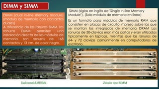 SIMM (siglas en inglés de "Single In-line Memory 
Module"), (Solo módulo de memoria en línea) 
Es un formato para módulos de memoria RAM que 
consisten en placas de circuito impreso sobre las que 
se montan los integrados de memoria DRAM Las 
ranuras de 30-clavijas eran más cortas y eran utilizadas 
típicamente en laptops, mientras que las ranuras de 
64- y 72 clavijas comúnmente en computadoras de 
escritorio. 
DIMM y SIMM 
DIMM (dual in-line memory module) 
(módulo de memoria con contactos 
duales) 
A diferencia de las ranuras SIMM, las 
ranuras DIMM permiten una 
instalación directa de los módulos de 
memoria, son ranuras de 168 
contactos y 13 cm. de color negro. 
 