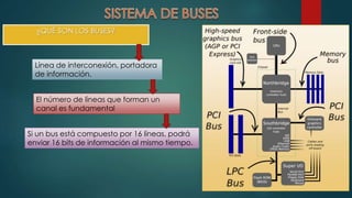 ¿QUÉ SON LOS BUSES? 
Línea de interconexión, portadora 
de información. 
El número de líneas que forman un 
canal es fundamental 
Si un bus está compuesto por 16 líneas, podrá 
enviar 16 bits de información al mismo tiempo. 
 