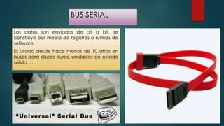 BUS SERIAL 
Los datos son enviados de bit a bit, se 
construye por medio de registros o rutinas de 
software. 
Es usado desde hace menos de 10 años en 
buses para discos duros, unidades de estado 
sólido…… 
 