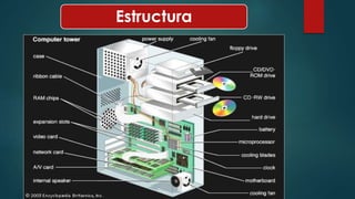 Estructura 
 