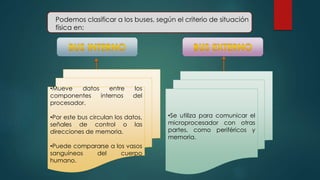 Podemos clasificar a los buses, según el criterio de situación 
física en: 
•Mueve datos entre los 
componentes internos del 
procesador. 
•Por este bus circulan los datos, 
señales de control o las 
direcciones de memoria. 
•Puede compararse a los vasos 
sanguíneos del cuerpo 
humano. 
•Se utiliza para comunicar el 
microprocesador con otras 
partes, como periféricos y 
memoria. 
 