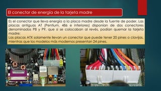 El conector de energía de la tarjeta madre 
Es el conector que lleva energía a la placa madre desde la fuente de poder. Las 
placas antiguas AT (Pentium, 486 e inferiores) disponían de dos conectores 
denominados P8 y P9, que si se colocaban al revés, podían quemar la tarjeta 
madre: 
Las placas ATX solamente llevan un conector que puede tener 20 pines o clavijas, 
mientras que los modelos más modernos presentan 24 pines. 
 