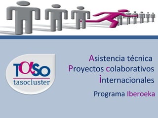 Asistencia técnica
Proyectos colaborativos
internacionales
Programa Iberoeka
 